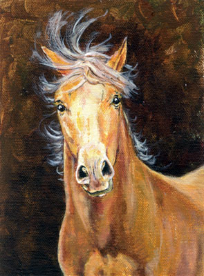 Palomino