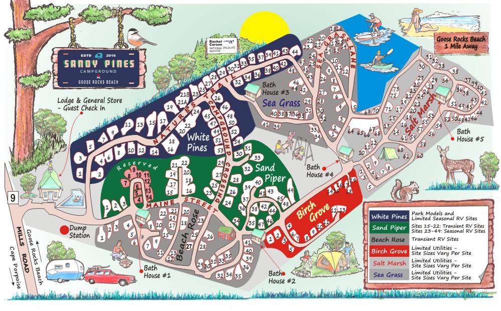 Pine Sands Campground Map