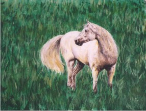 White Mare in Grass